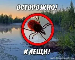 "Профилактика клещевых инфекций" 