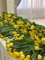 13.03.2025 в ресторане -гостиницы «Орбита» в рамках Национальной стратегии Республики Беларусь «Активное долголетие – 2030» состоялось грандиозное мероприятие в котором в участие более 150 человек 