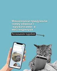 ПРОФИЛАКТИКА