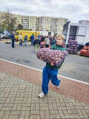 Полезная информация