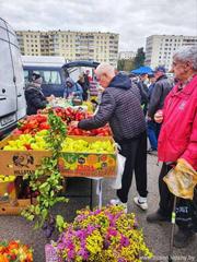 Полезная информация