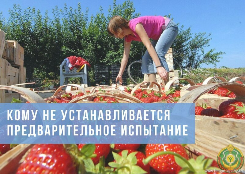 Новости Новости