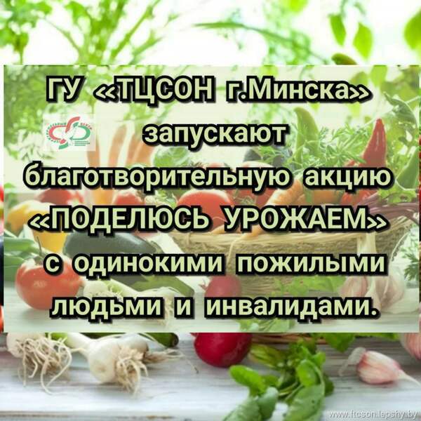 ТВОРИ ДОБРО – ПОДЕЛИСЬ УРОЖАЕМ! ТВОРИ ДОБРО – ПОДЕЛИСЬ УРОЖАЕМ!