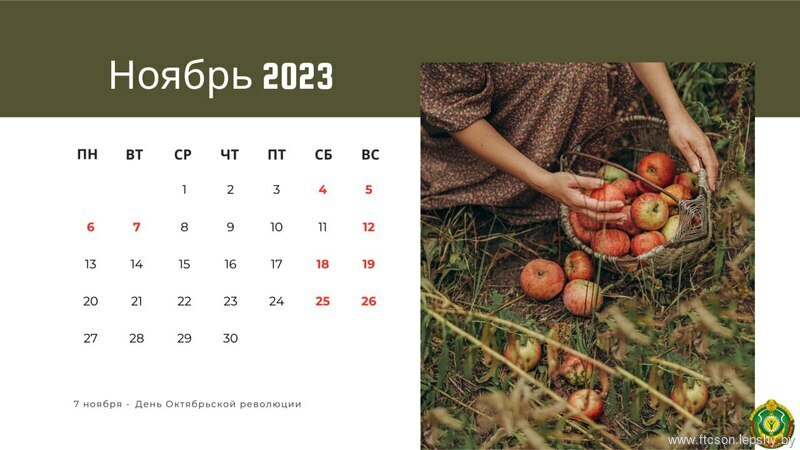 Новости Новости